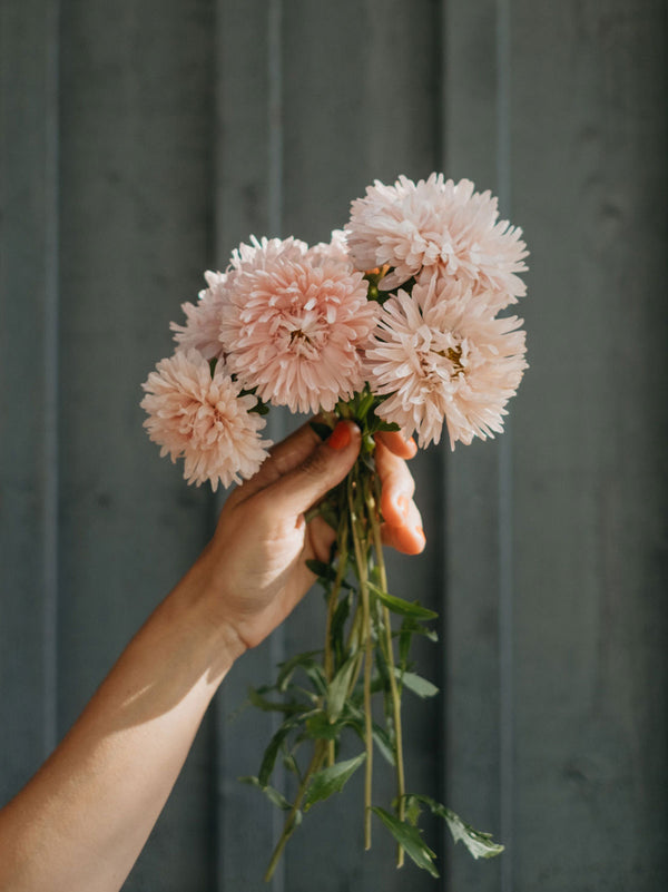 Romantic Bouquet Collection - För den som älskar romantiska blommor